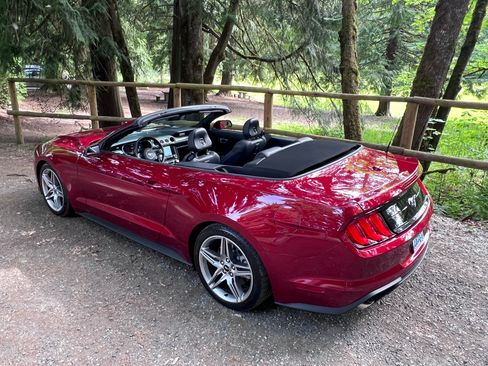 Used 2019 Ford Mustang Premium w/ Ecoboost Performance Package RWD image 5