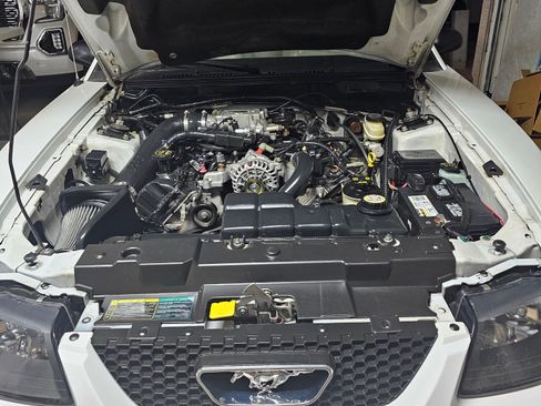 Used 2004 Ford Mustang GT Premium image 15