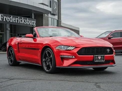 Used 2019 Ford Mustang GT Premium w/ California Special Package image 8