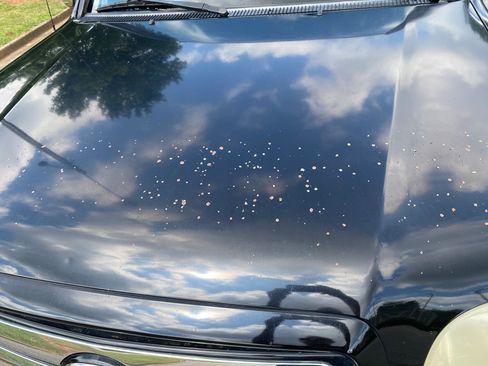 Used 2005 Toyota Tundra SR5 image 8