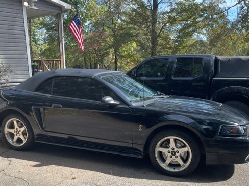 Used 2001 Ford Mustang Cobra image 4