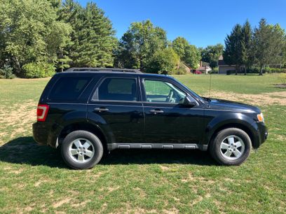 Used 2010 Ford Escape XLT