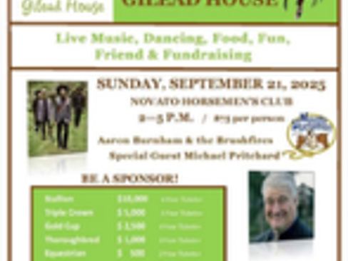 Used 2010 Mercedes-Benz SLK 300 image 3