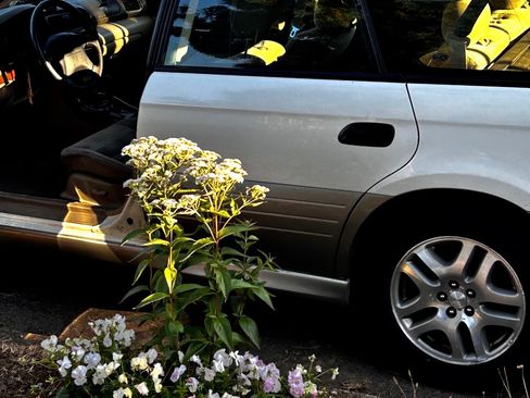 Used 2004 Subaru Outback Wagon image 11