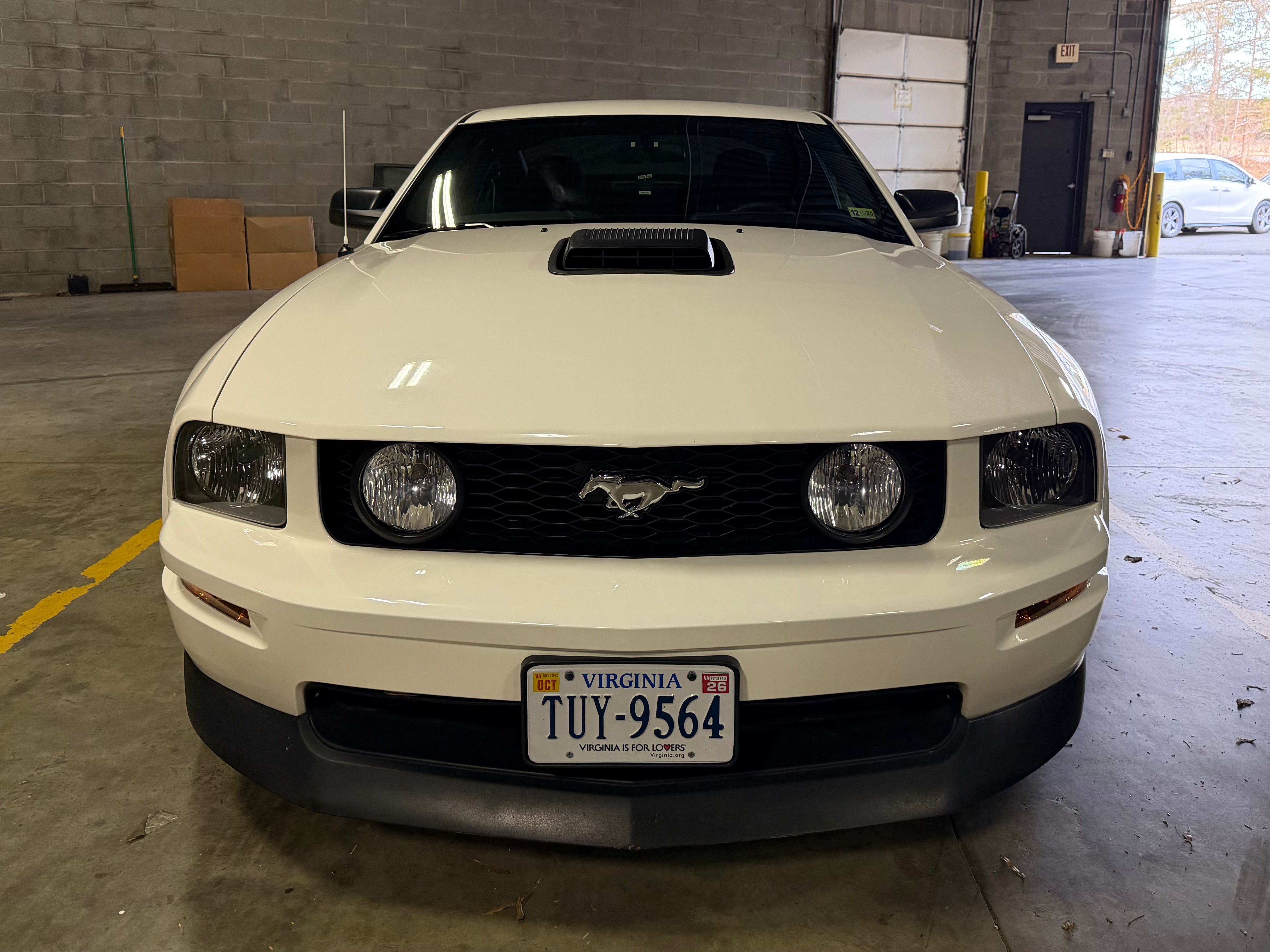 Used 2006 Ford Mustang GT Premium RWD image 4