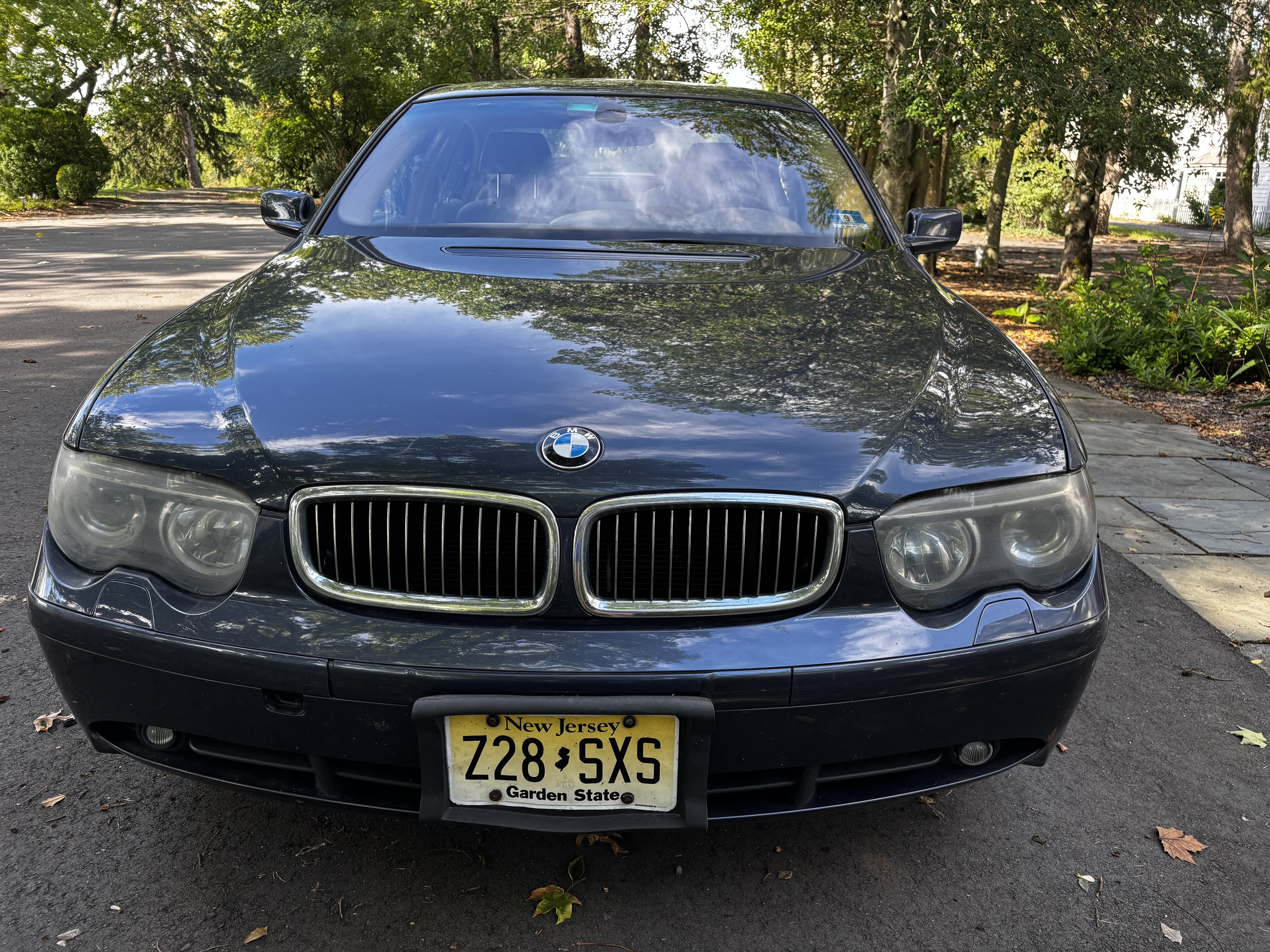 Used 2003 BMW 745i RWD image 4