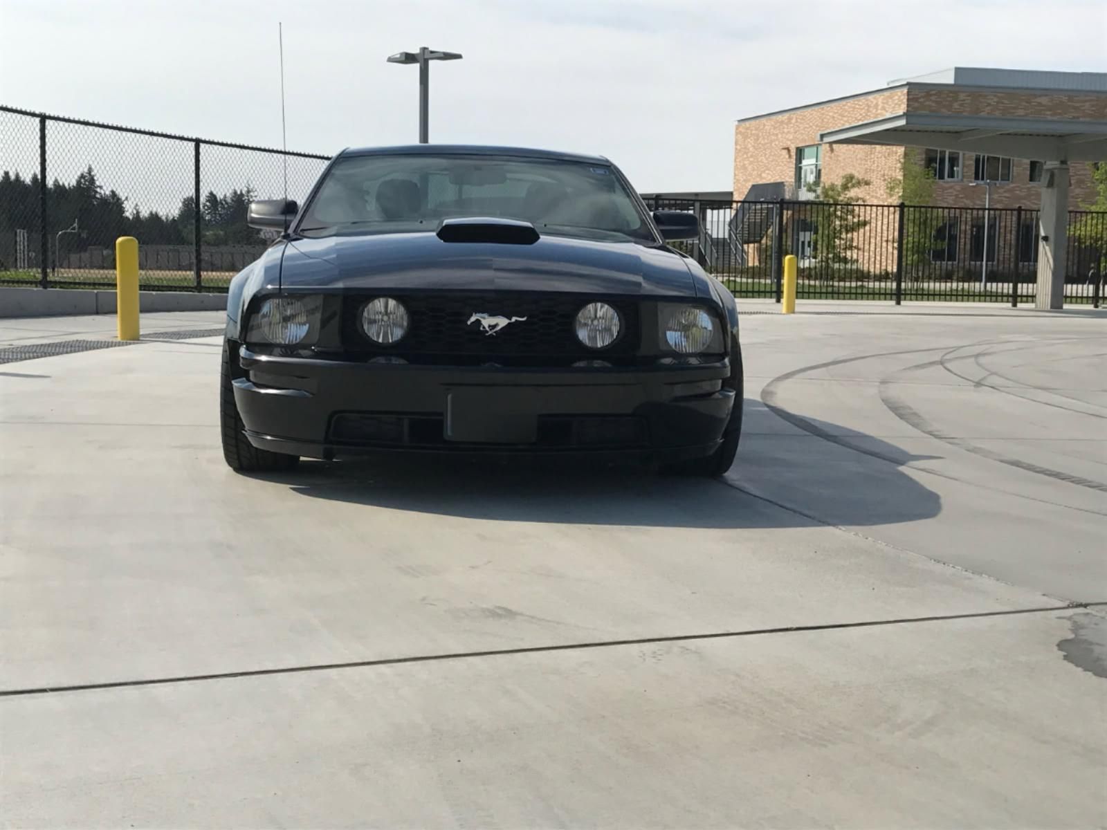 Used 2009 Ford Mustang GT Premium RWD image 4