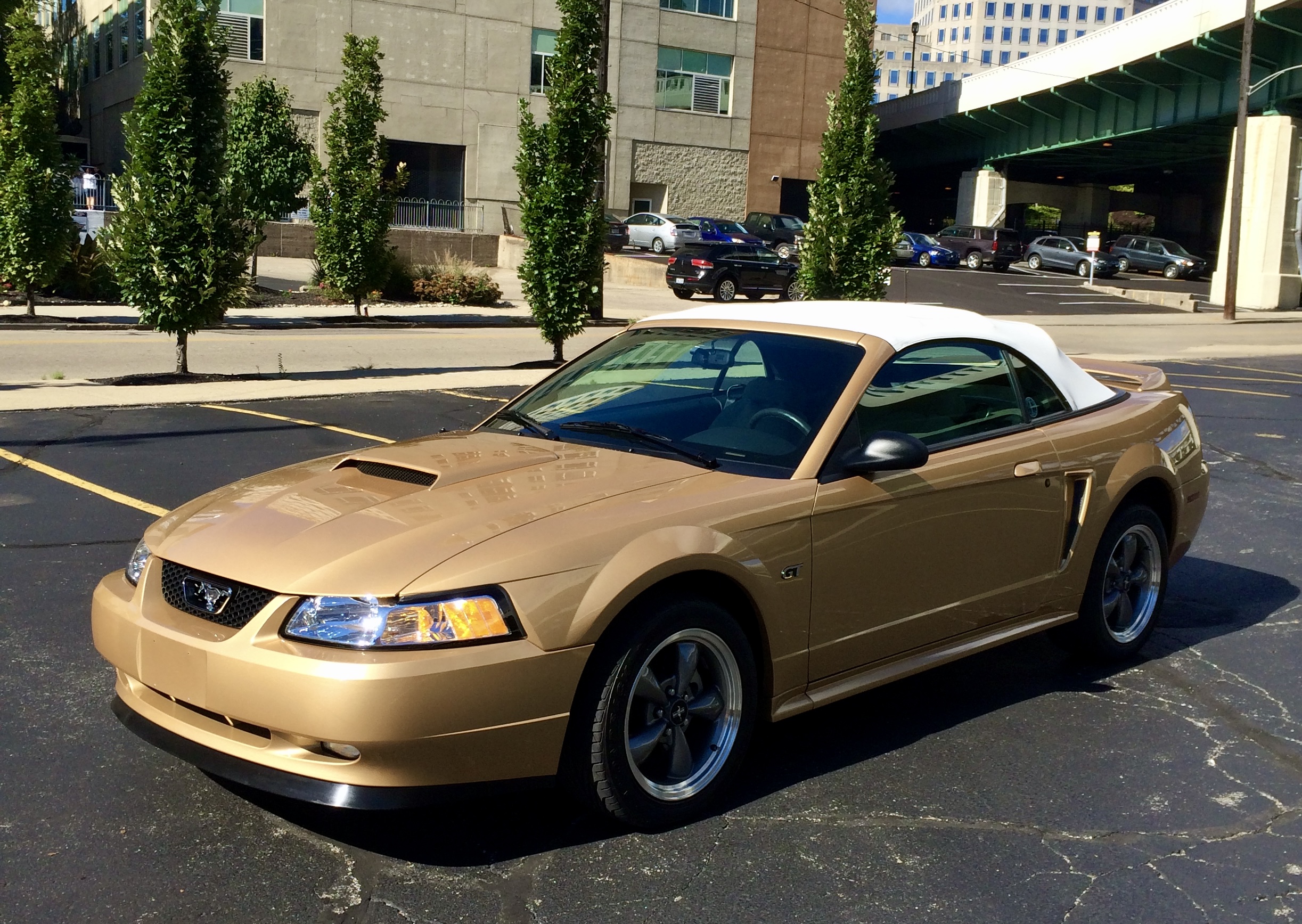 Used 2000 Ford Mustang GT RWD image 4