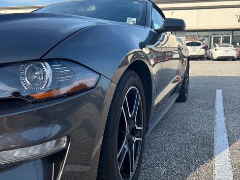 Used 2020 Ford Mustang Premium RWD image 2