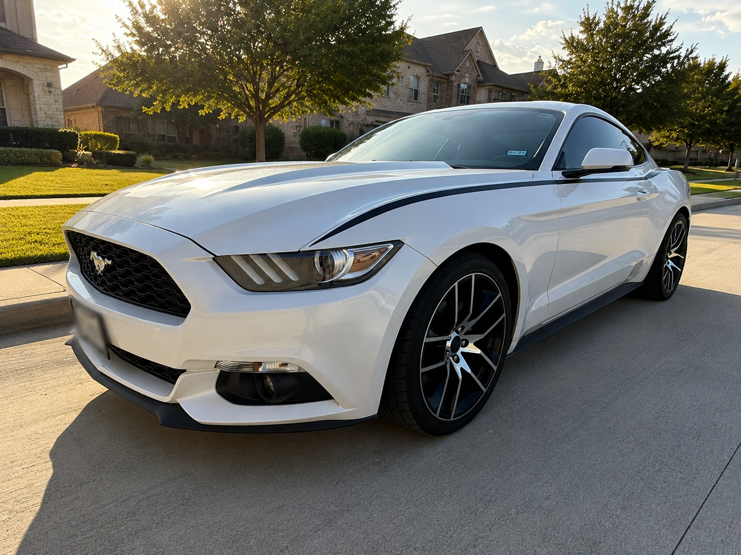 Used 2017 Ford Mustang Premium w/ Equipment Group 201A RWD image 1