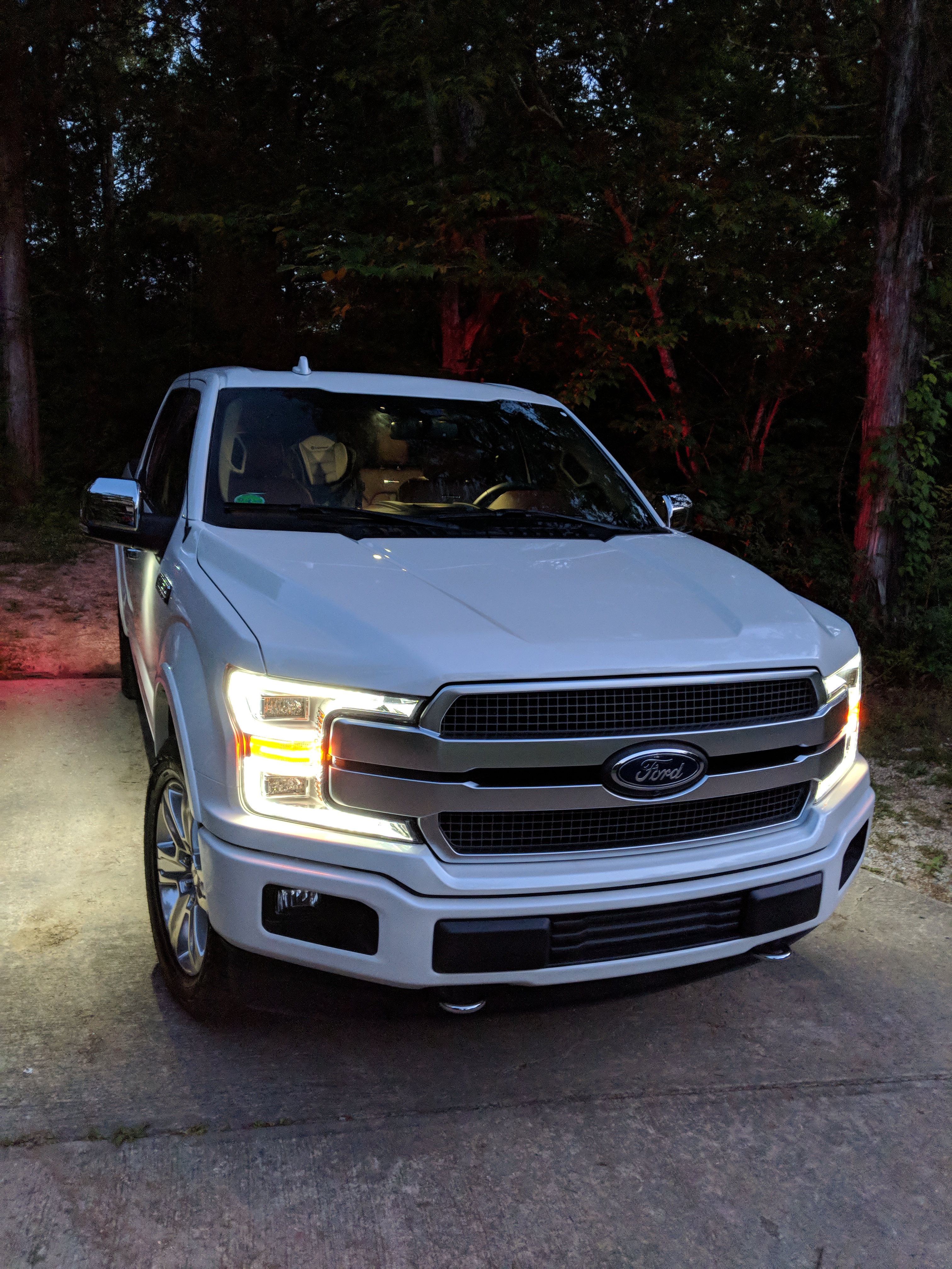 Used 2018 Ford F150 Platinum w/ Equipment Group 701A Luxury AWD/4WD image 1