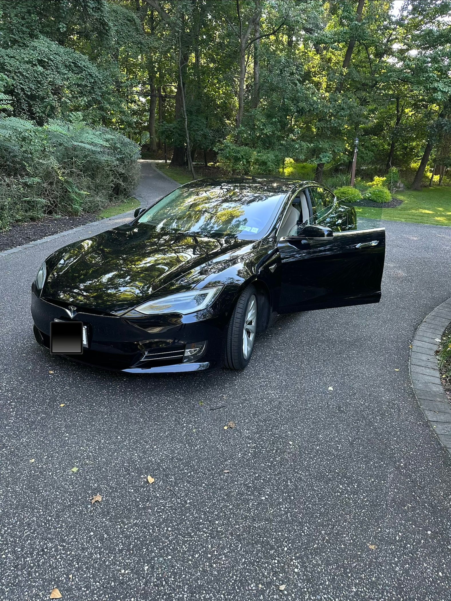Used 2017 Tesla Model S 100D AWD/4WD image 1