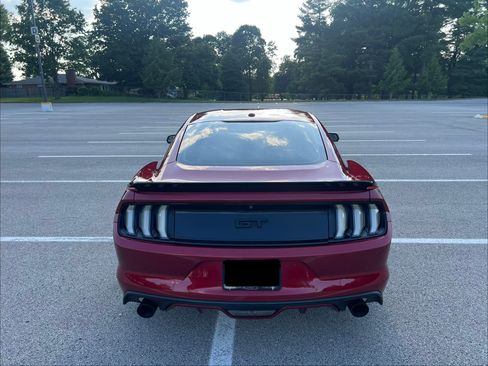 Used 2015 Ford Mustang GT Premium w/ 50 Years Appearance Package RWD image 5