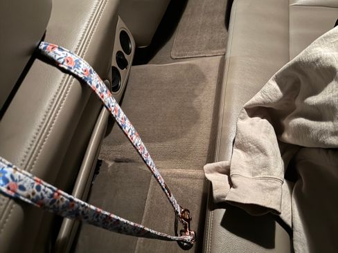 Used 2005 Ford F150 Lariat image 9