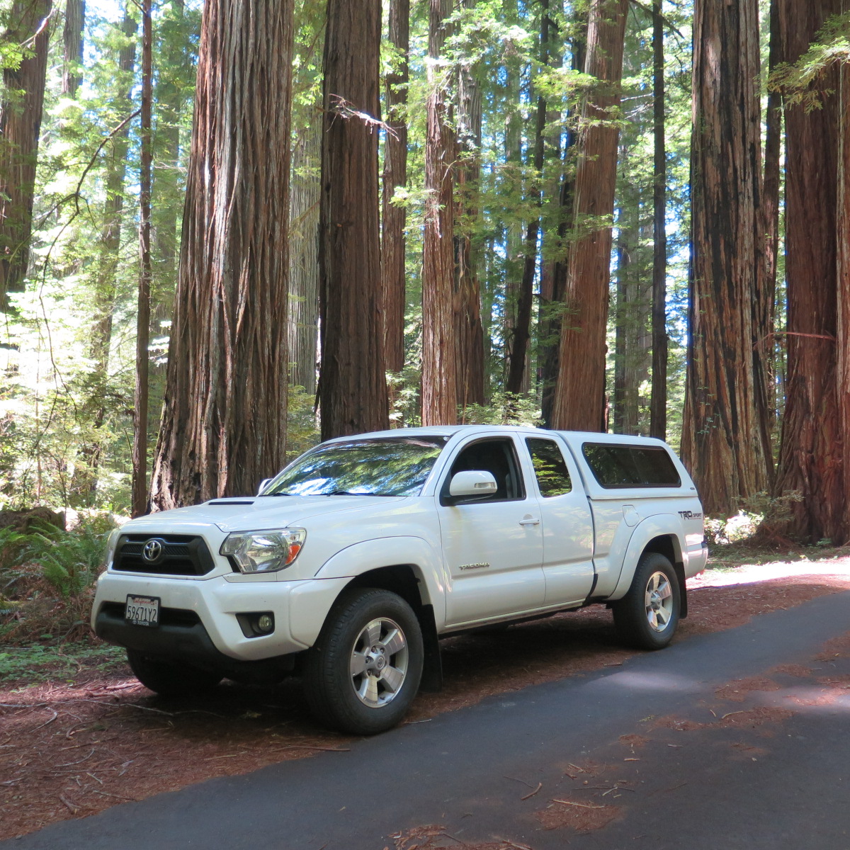 Used 2015 Toyota Tacoma PreRunner w/ TRD Sport Package RWD image 1