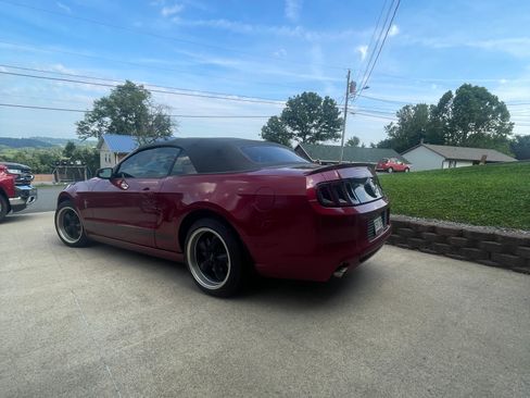 Used 2014 Ford Mustang Premium w/ Equipment Group 202A RWD image 17