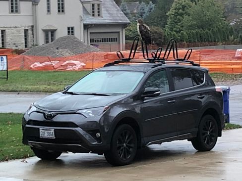 Used 2018 Toyota RAV4 Adventure AWD/4WD image 11