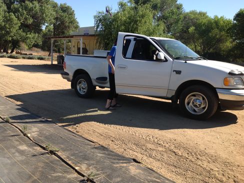 Used 2003 Ford F150 XL image 1