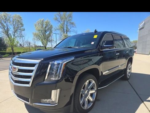 Used 2019 Cadillac Escalade Luxury image 6