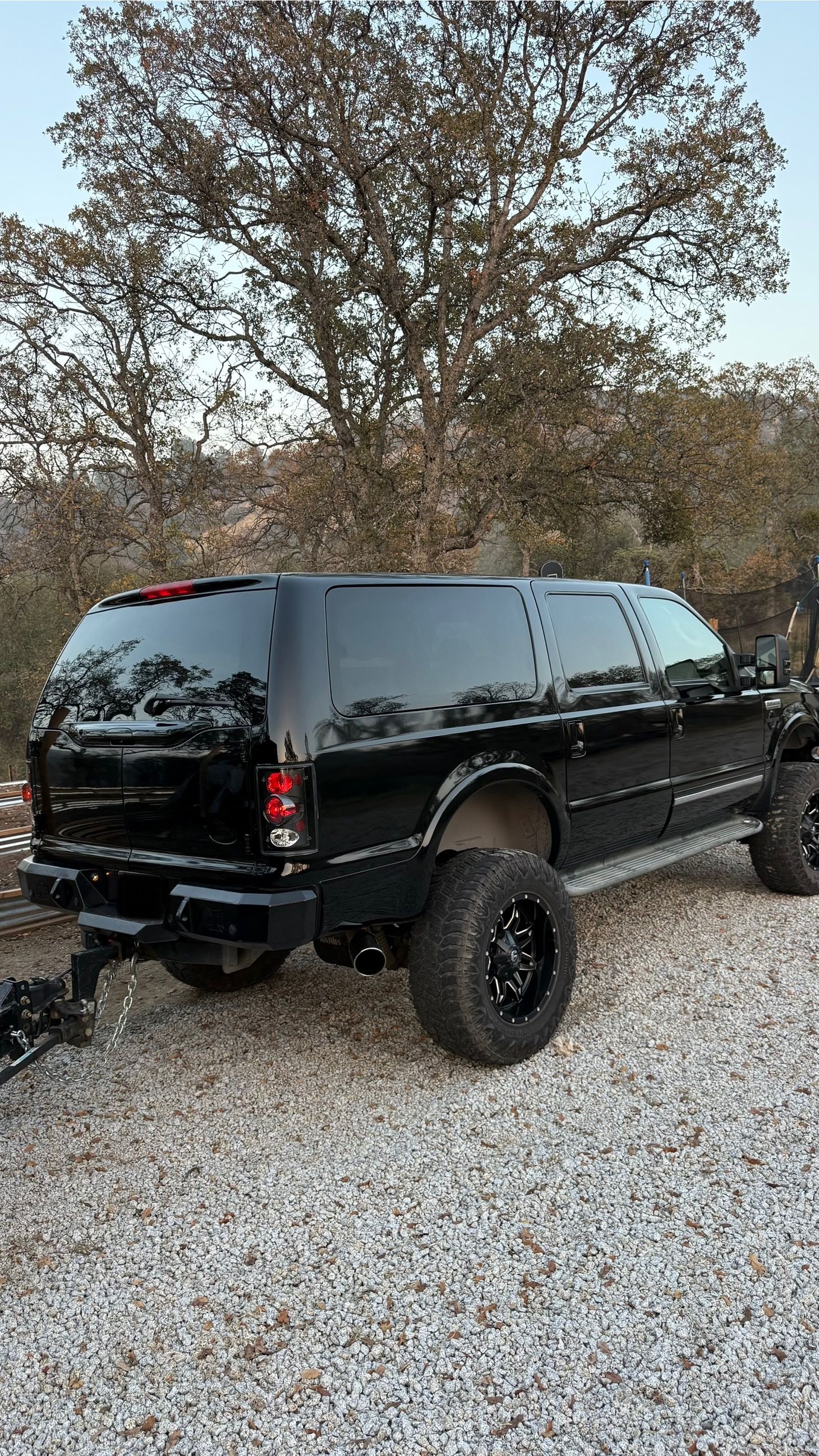 Used 2003 Ford Excursion Limited AWD/4WD image 2
