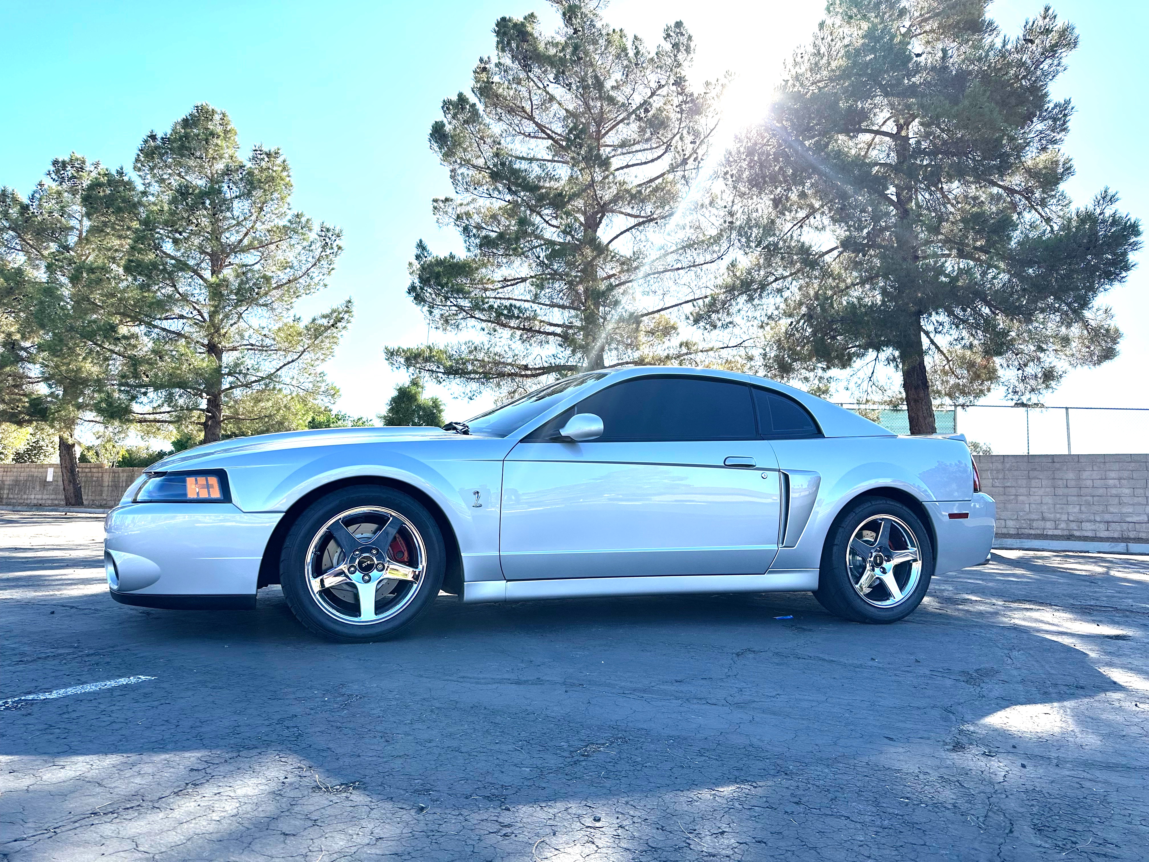 Used 2004 Ford Mustang Cobra RWD image 1