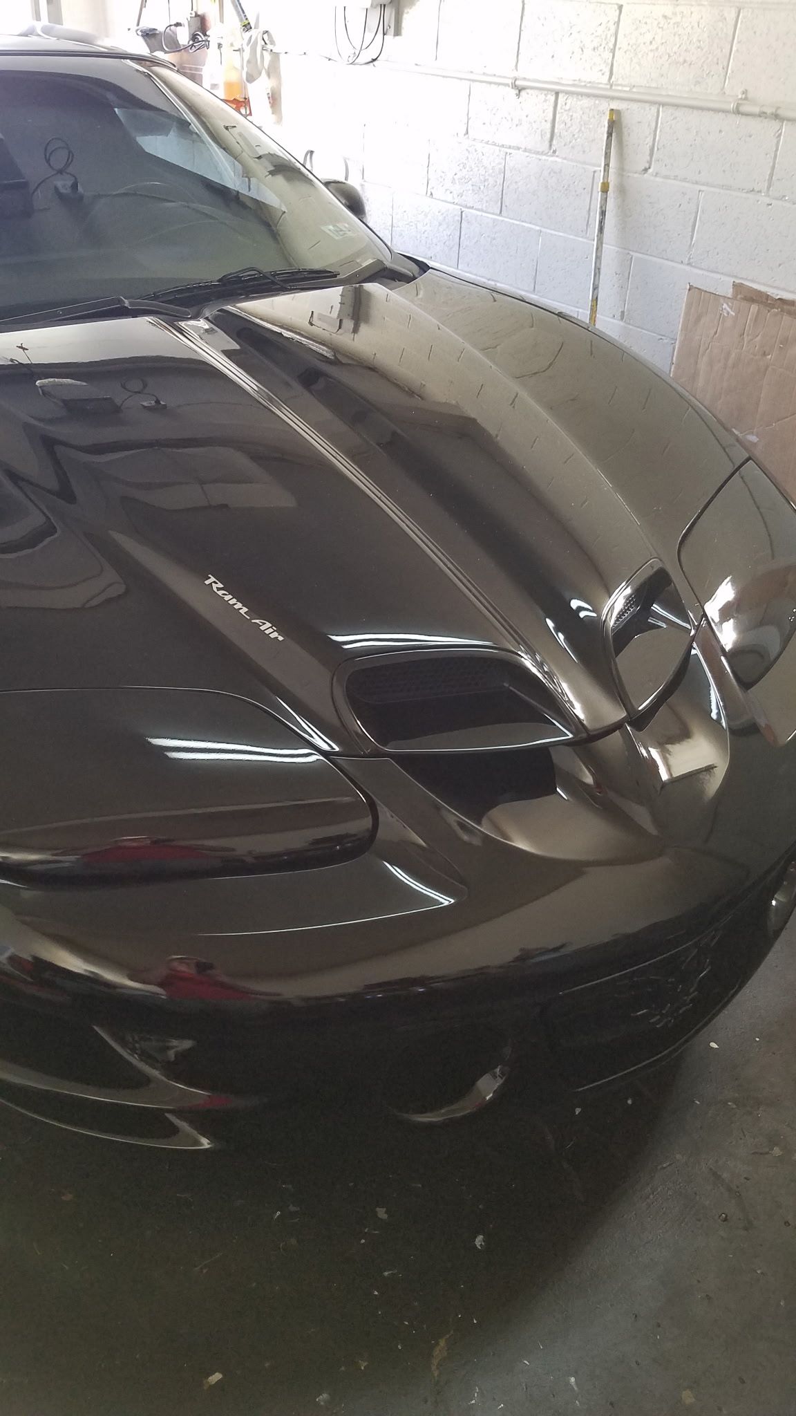 Used 2000 Pontiac Firebird Formula RWD image 20