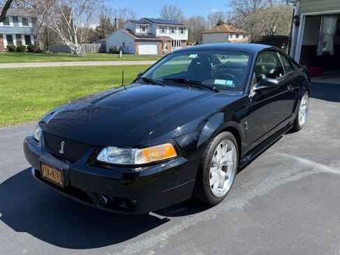 Used 1999 Ford Mustang Cobra image 2