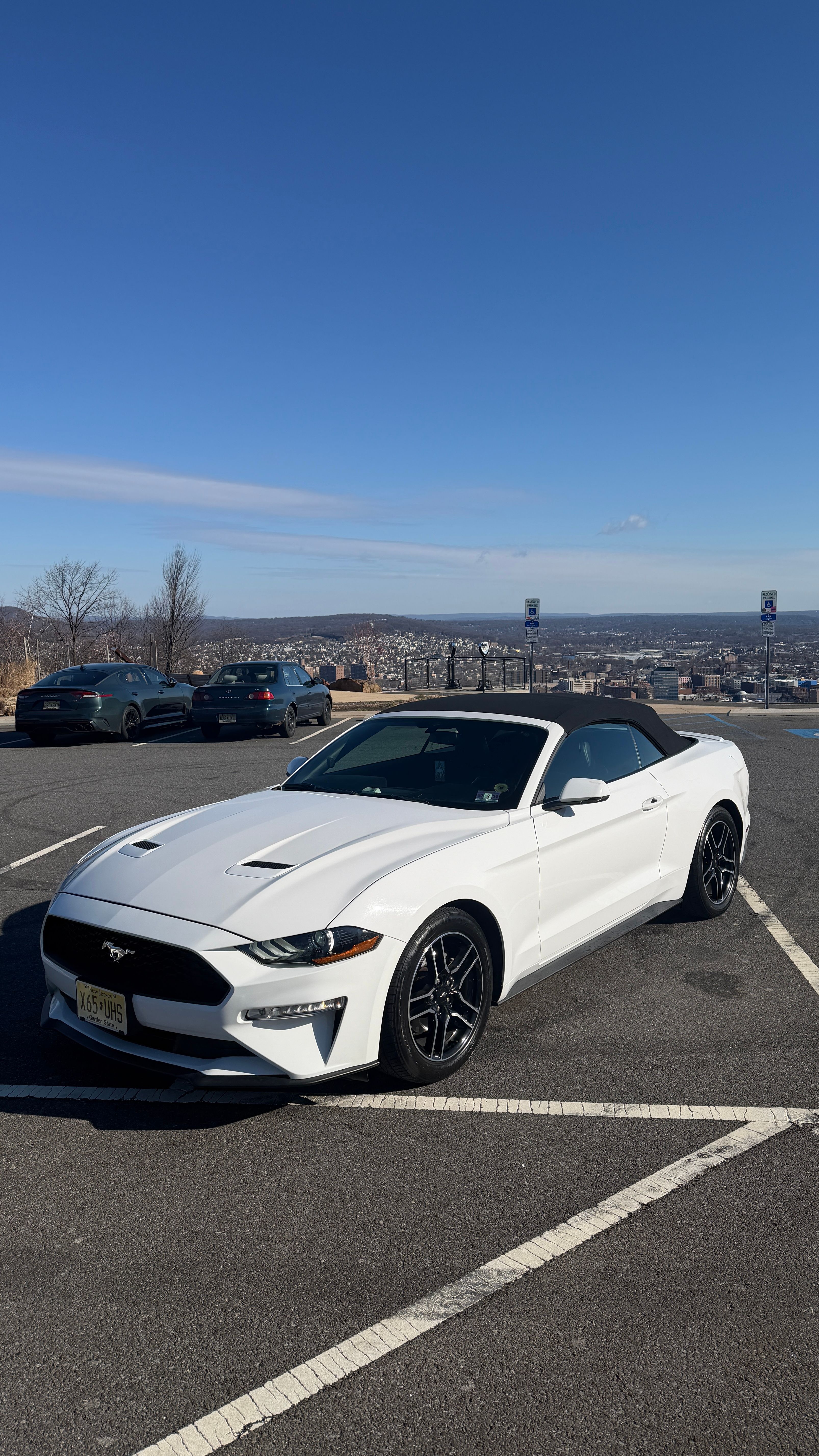 Used 2019 Ford Mustang Premium RWD image 9