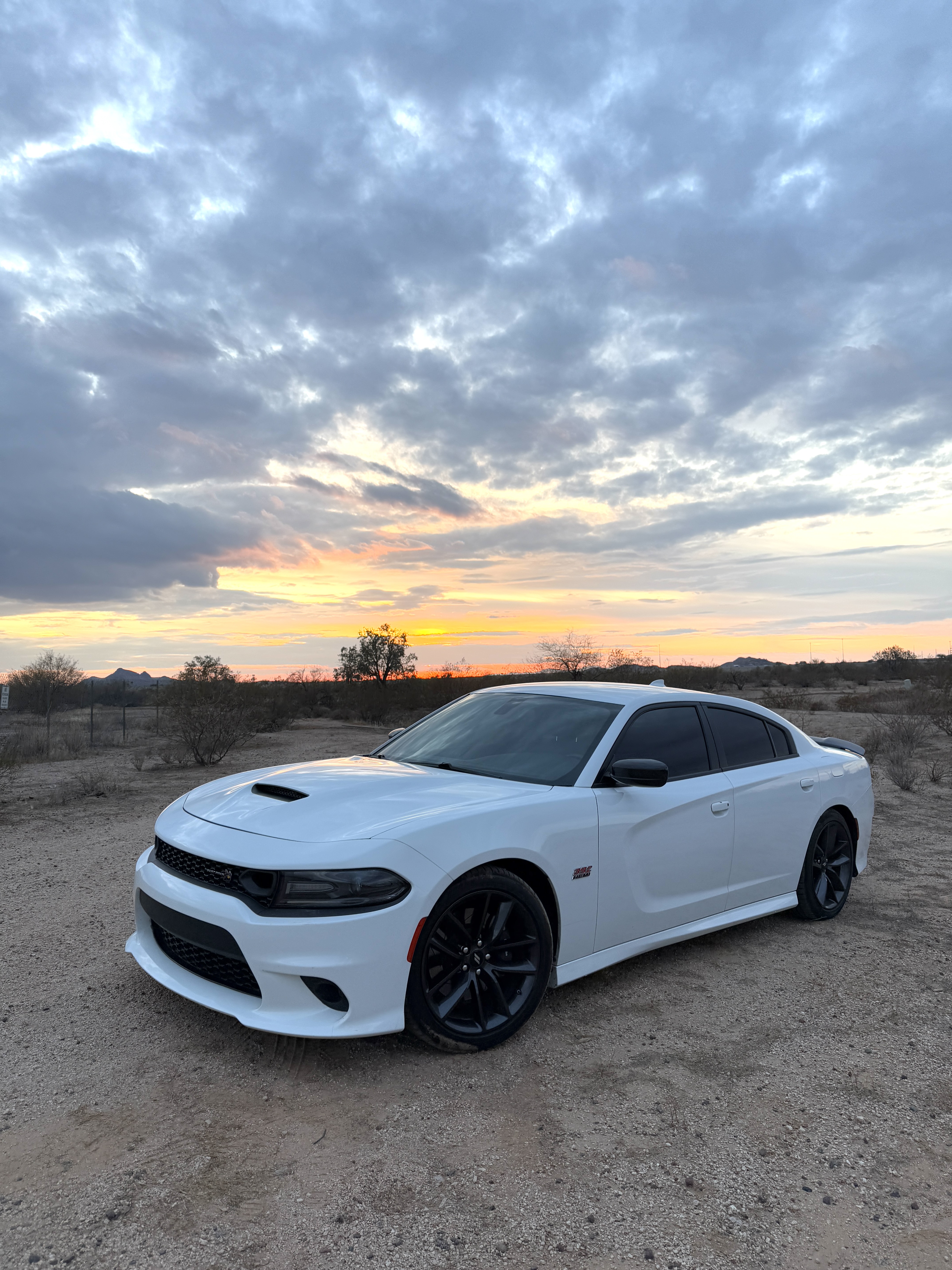 Used 2019 Dodge Charger Scat Pack w/ Driver Confidence Group RWD image 12