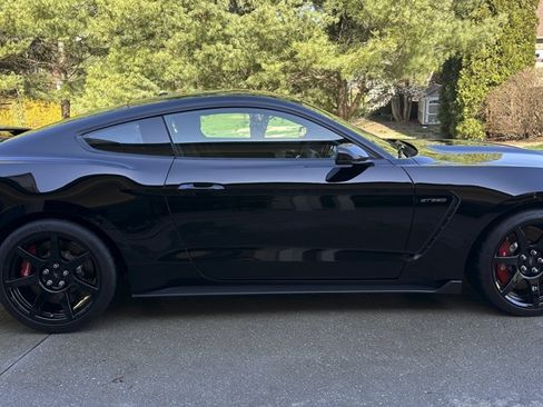 Used 2017 Ford Mustang Shelby GT350R w/ GT350R Equipment Group 920A image 4