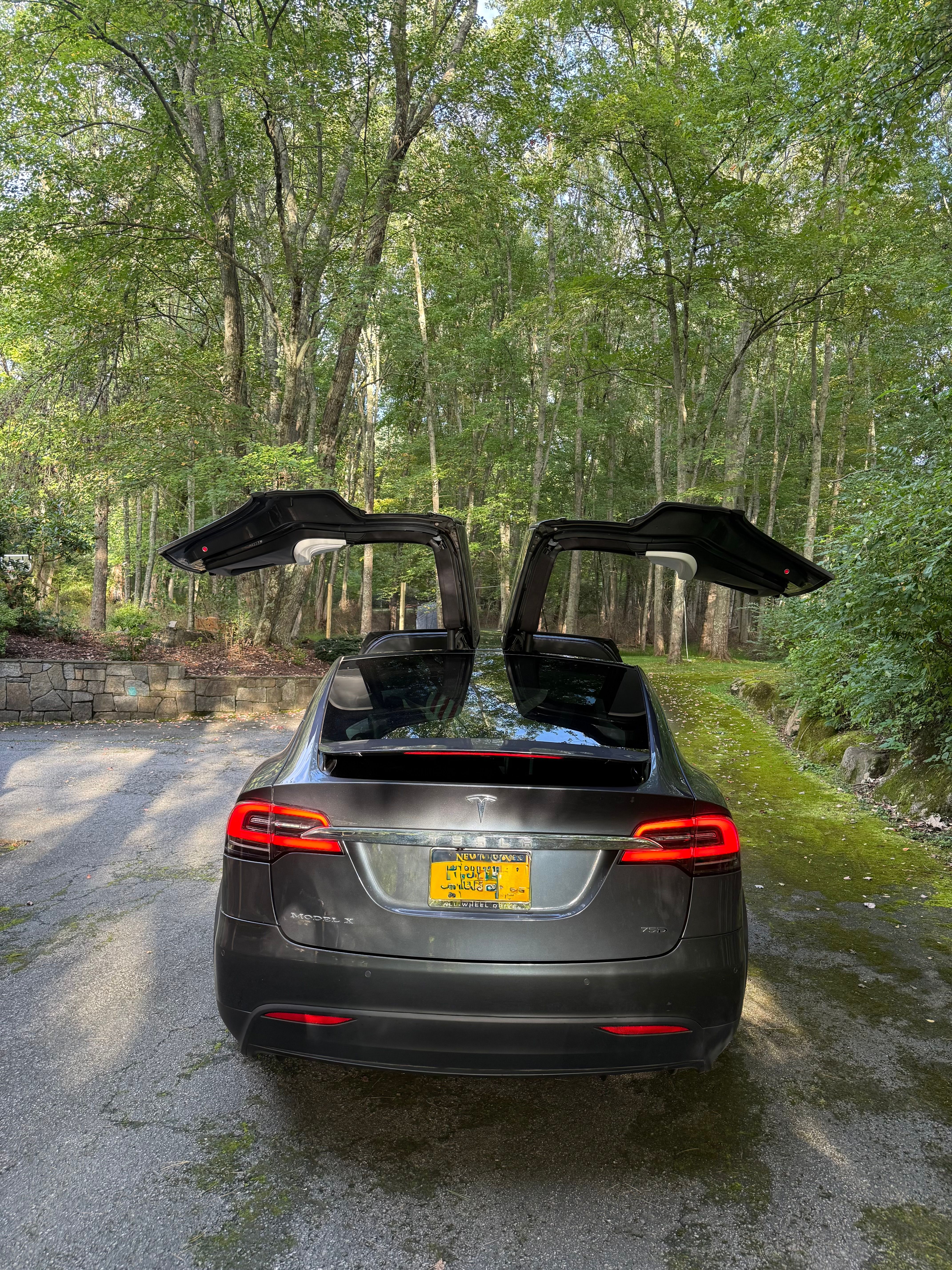Used 2018 Tesla Model X 75D AWD/4WD image 9