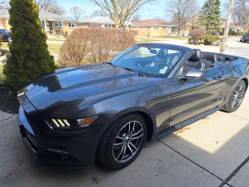 Used 2017 Ford Mustang Premium image 10
