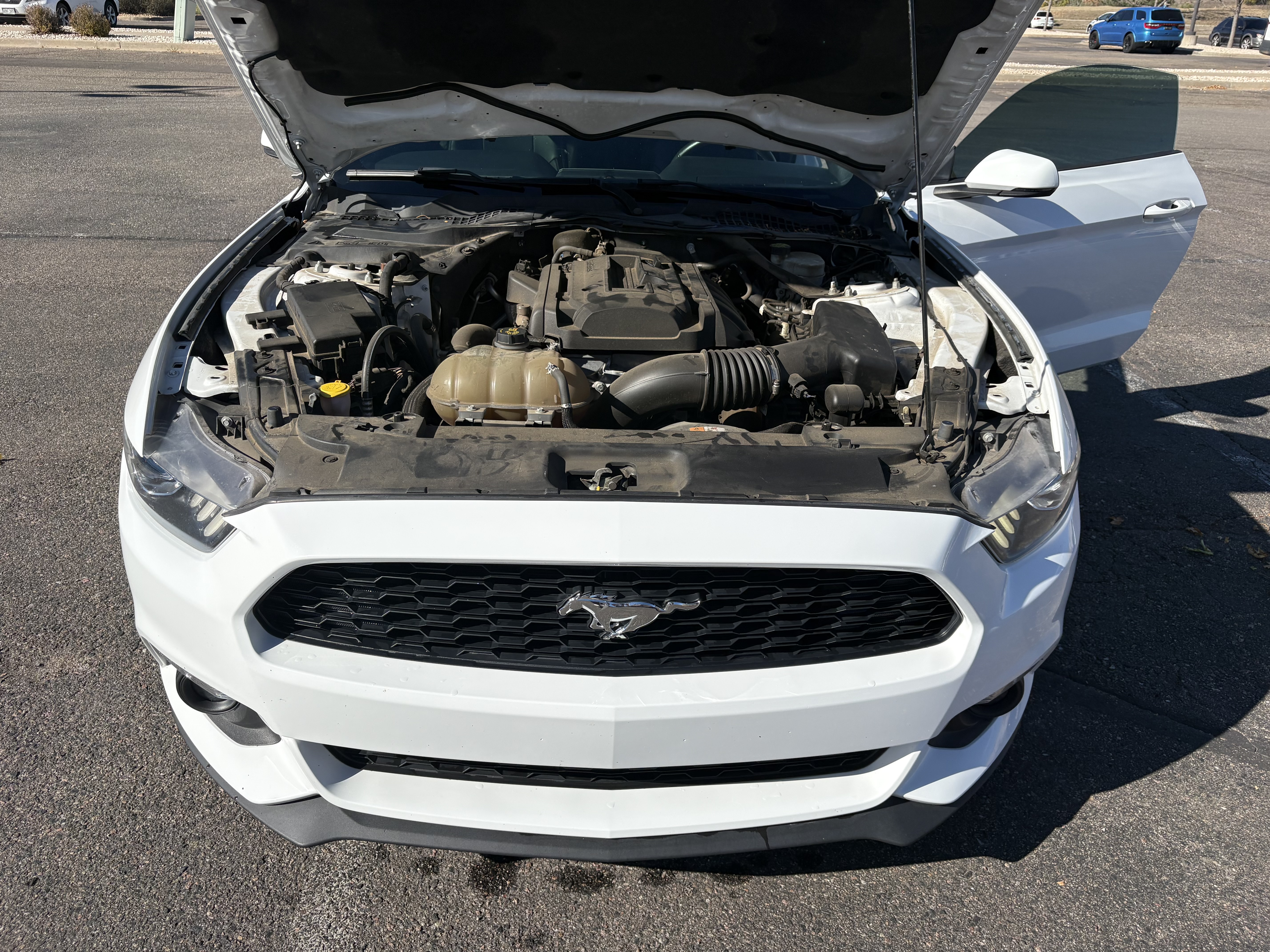 Used 2015 Ford Mustang Premium w/ Ecoboost Performance Package RWD image 8