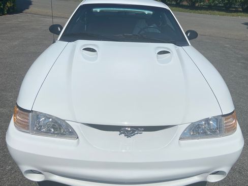 Used 1998 Ford Mustang Cobra RWD image 1