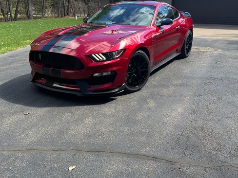 Used 2019 Ford Mustang Shelby GT350 w/ Technology Package RWD image 1