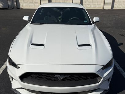 Used 2019 Ford Mustang Coupe