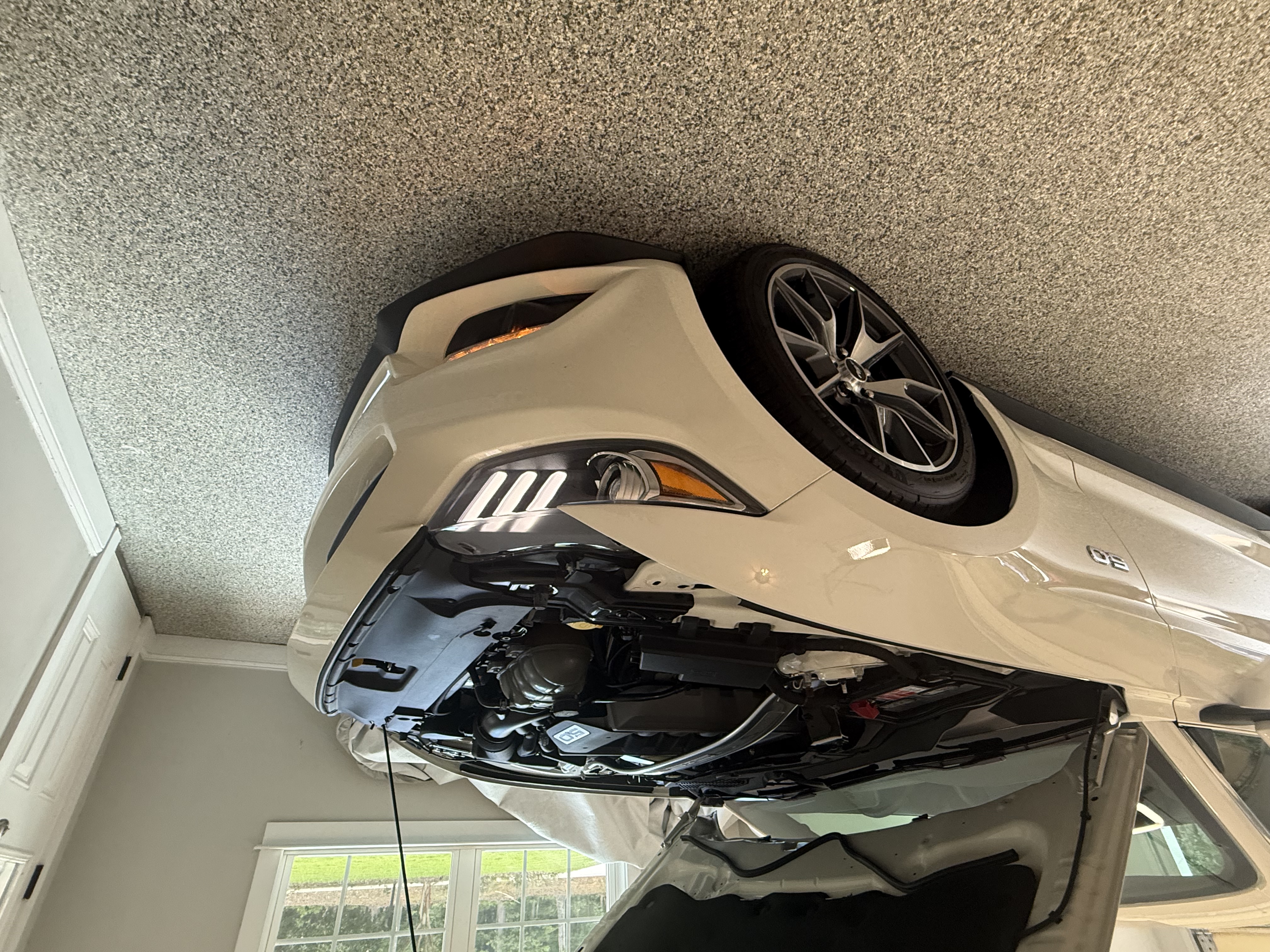 Used 2015 Ford Mustang 50 Years RWD image 19