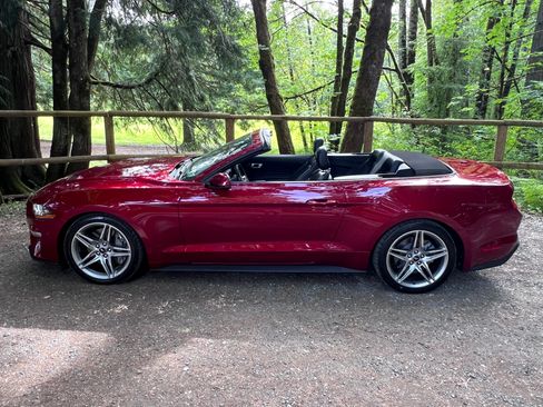 Used 2019 Ford Mustang Premium w/ Ecoboost Performance Package RWD image 1