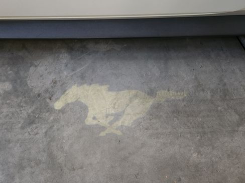 Used 2015 Ford Mustang GT Premium image 16