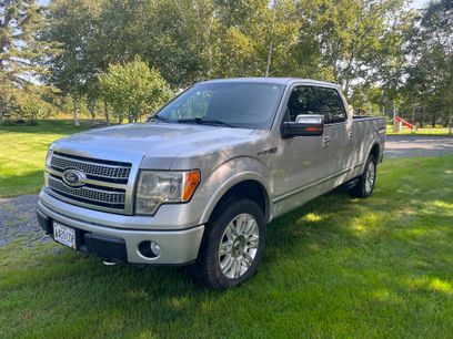 Used 2010 Ford F150 Platinum