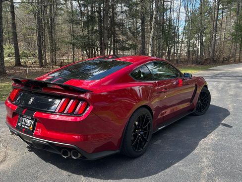 Used 2019 Ford Mustang Shelby GT350 w/ Technology Package RWD image 13