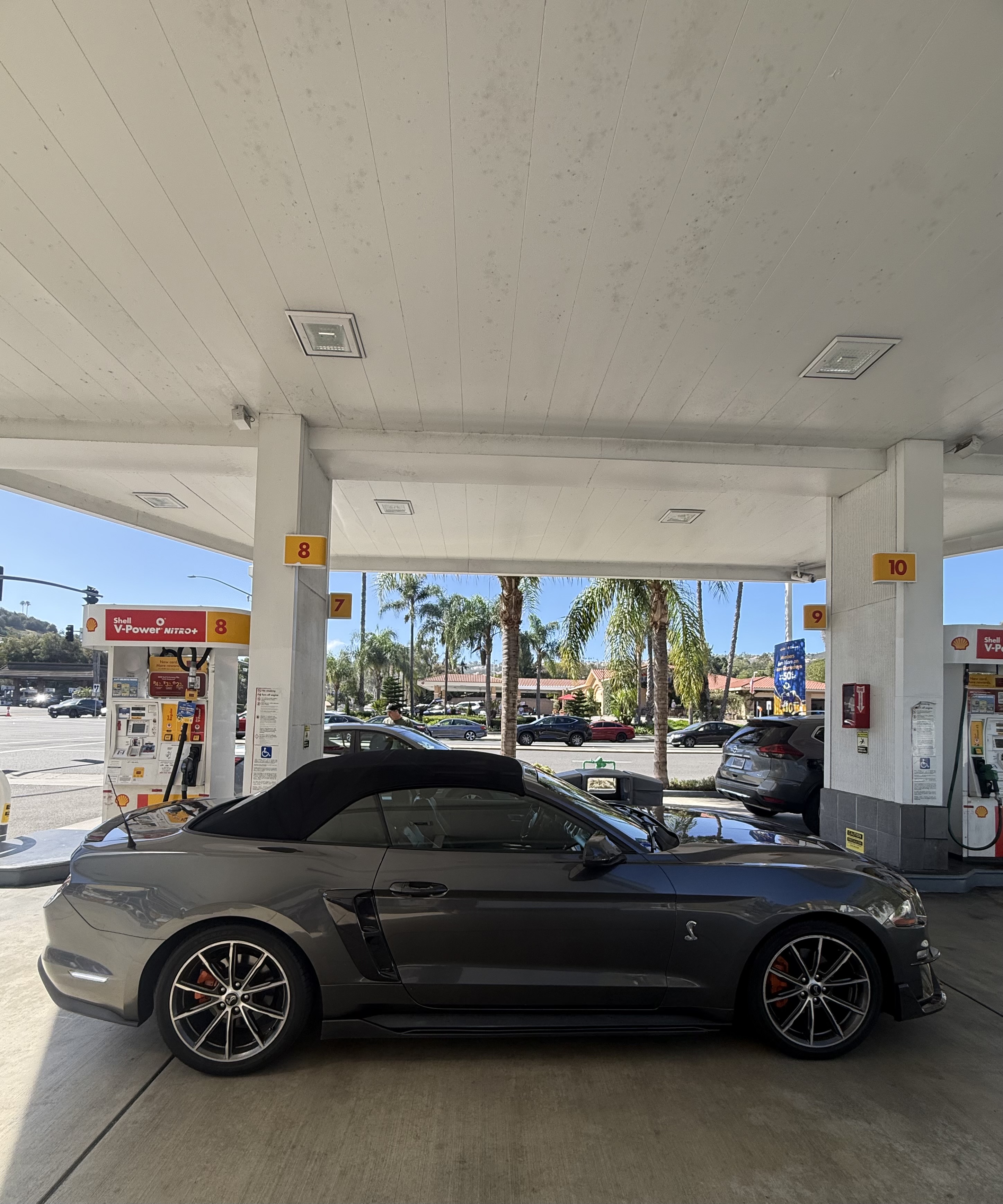 Used 2019 Ford Mustang Premium w/ Equipment Group 201A RWD image 28