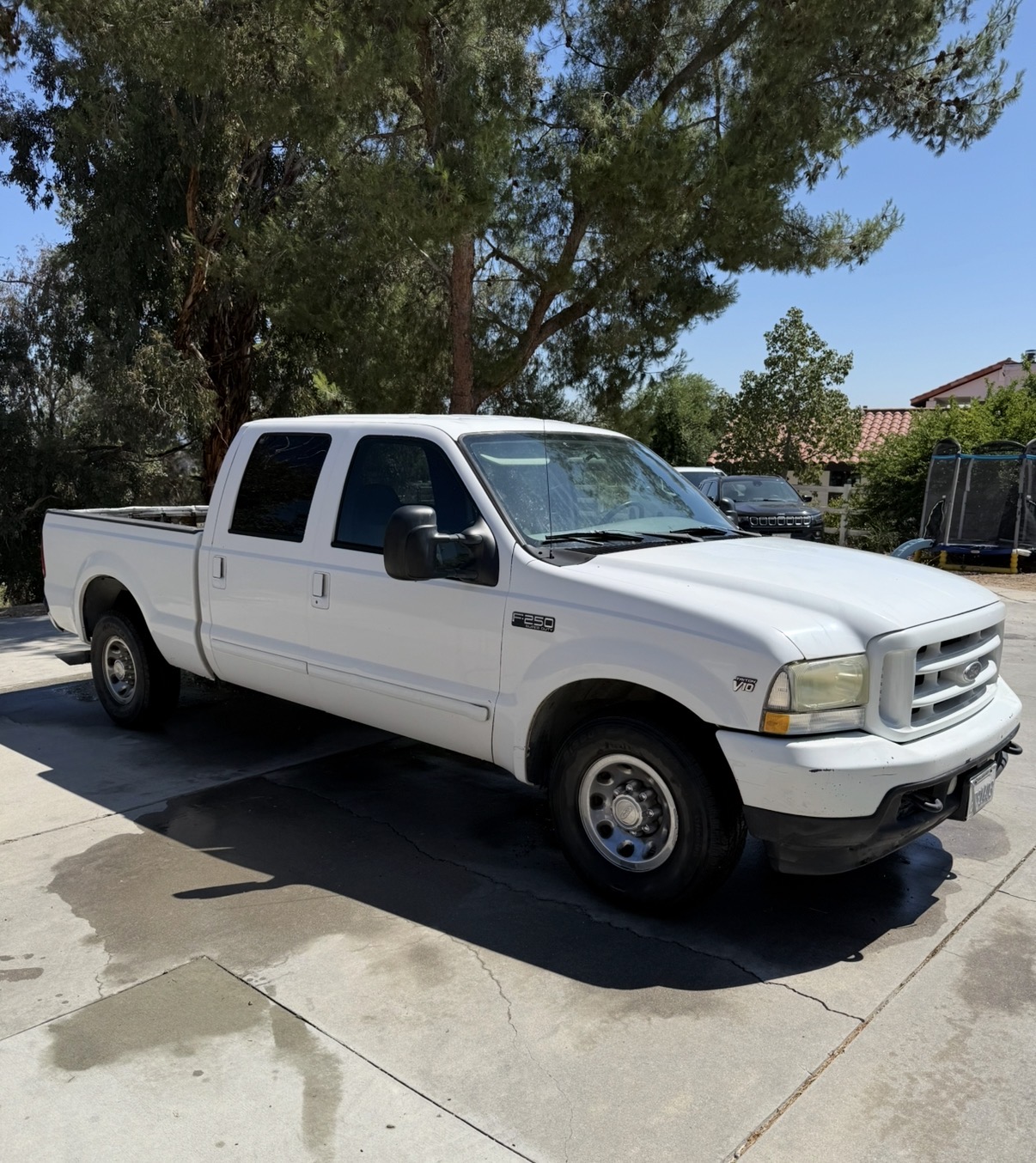 Used 2003 Ford F250 XL RWD image 1