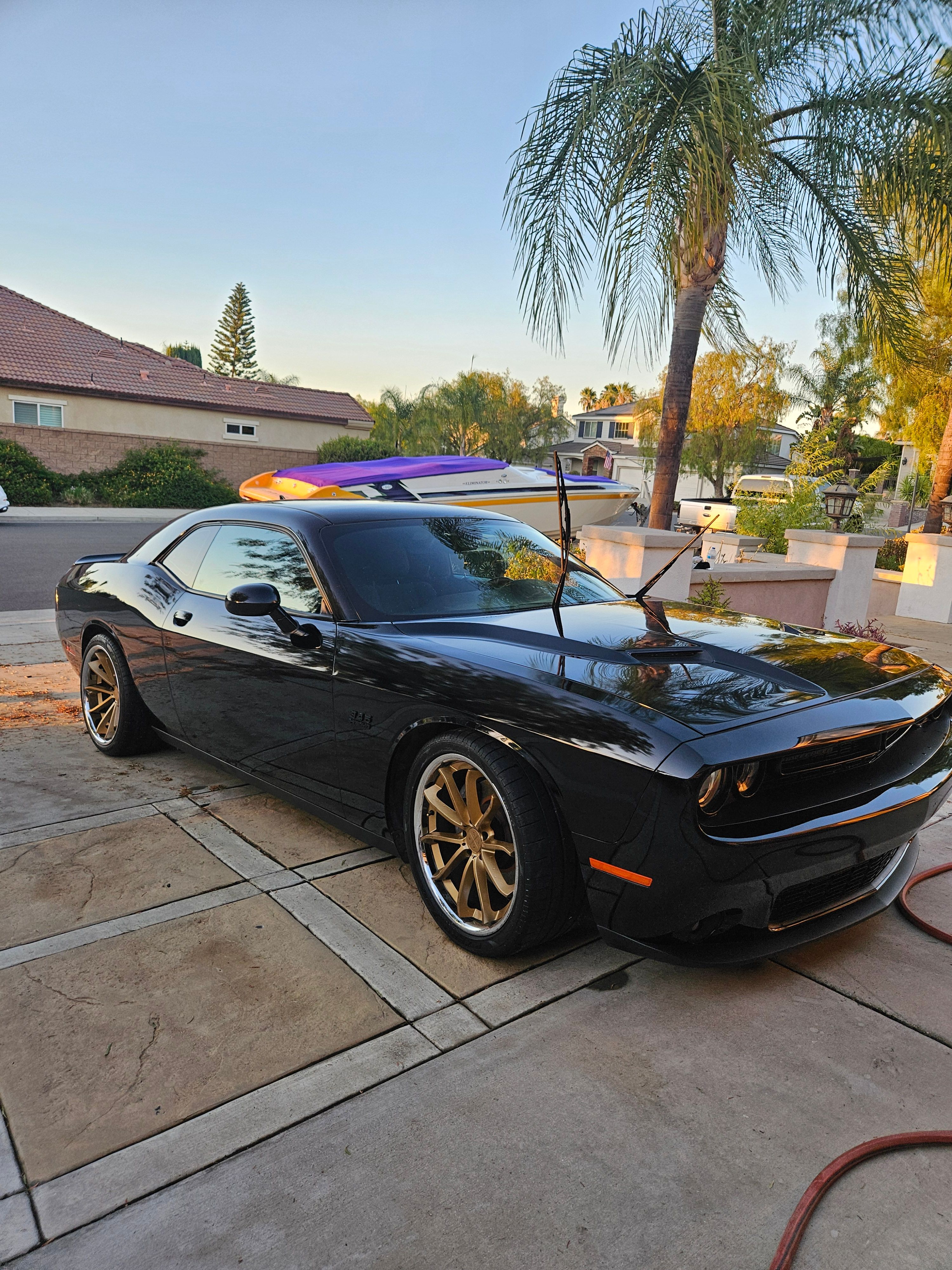 Used 2016 Dodge Challenger R/T w/ Blacktop Package RWD image 6