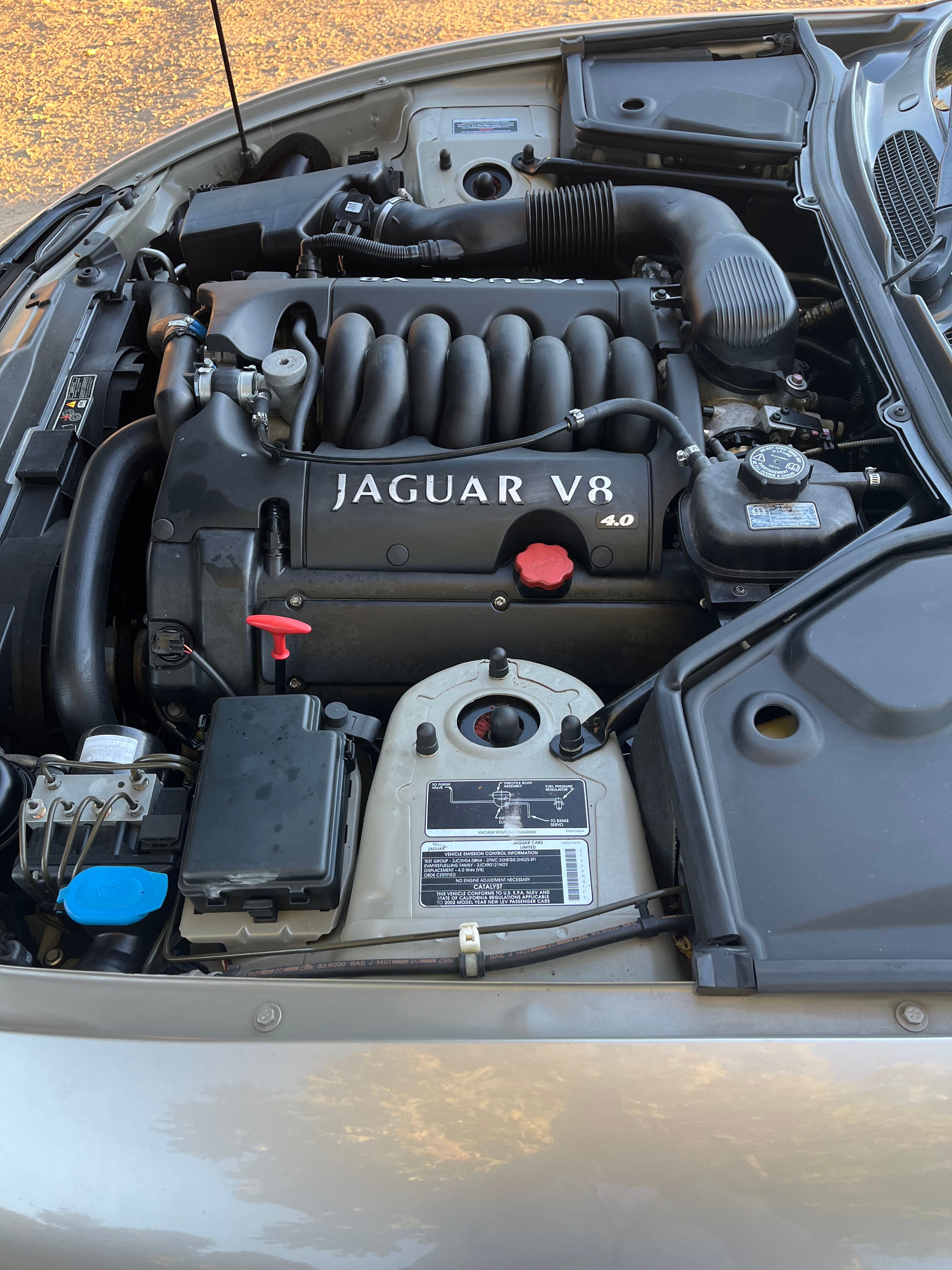 Used 2002 Jaguar XK8 Convertible RWD image 14