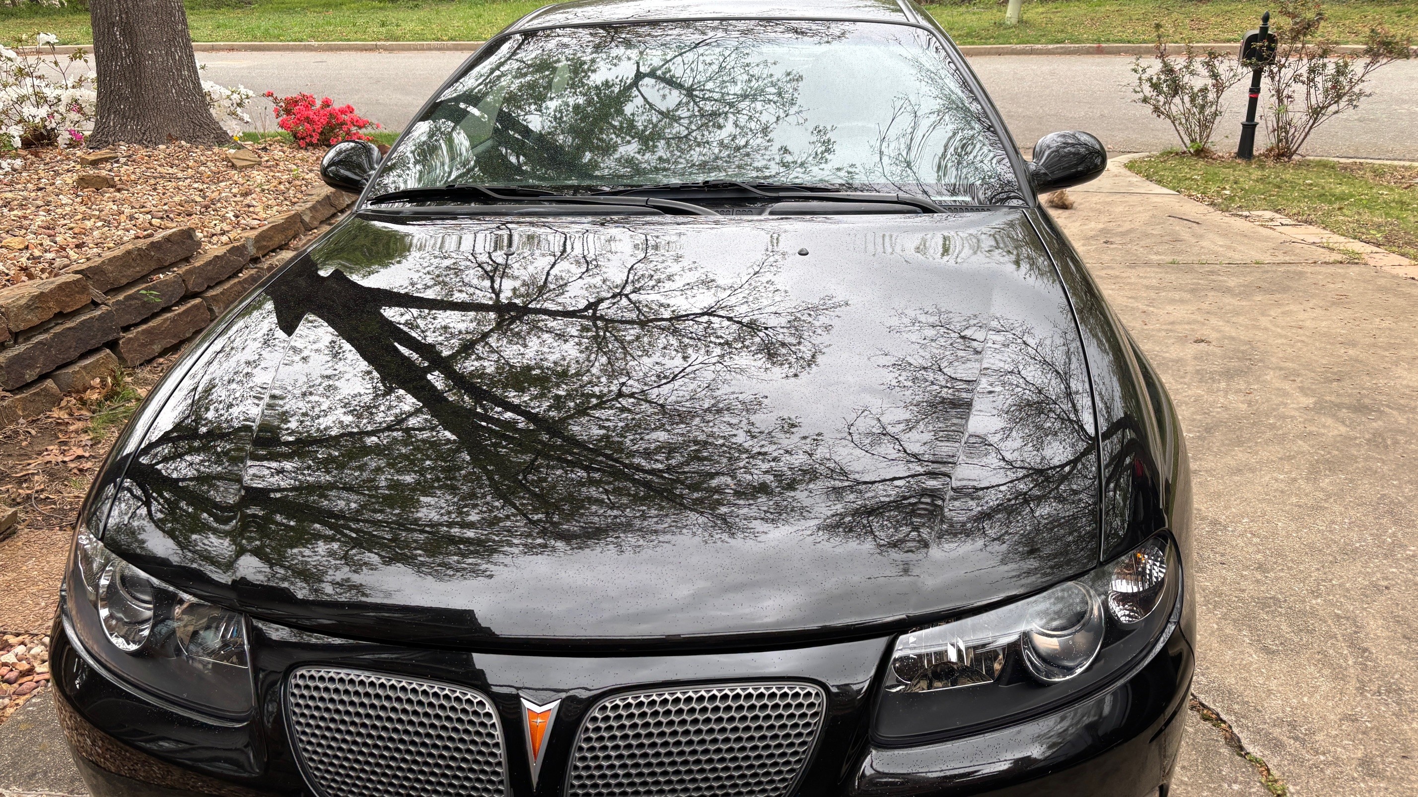 Used 2004 Pontiac GTO RWD image 14
