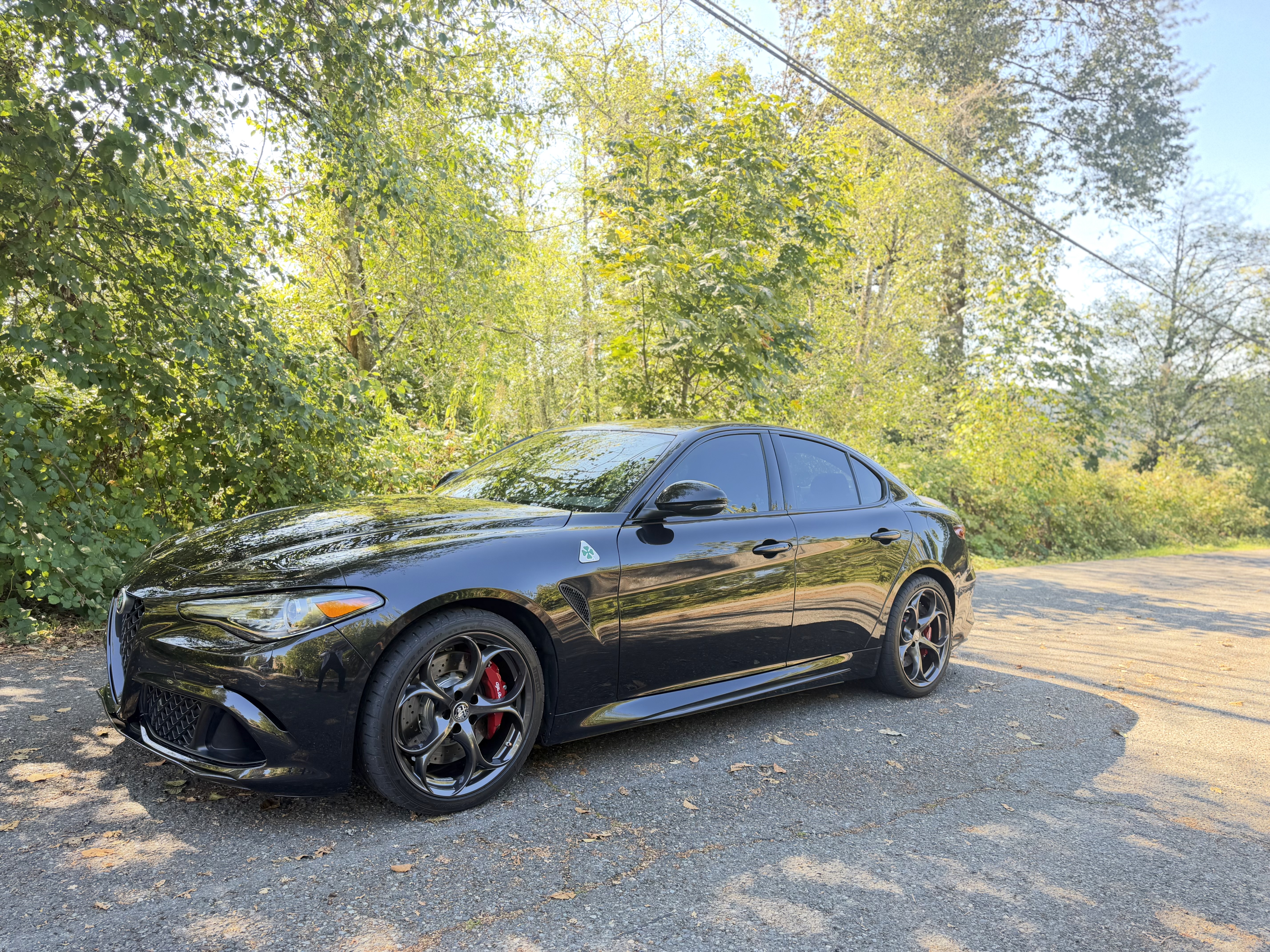 Used 2023 Alfa Romeo Giulia Quadrifoglio w/ Active Assist Plus Package RWD image 15
