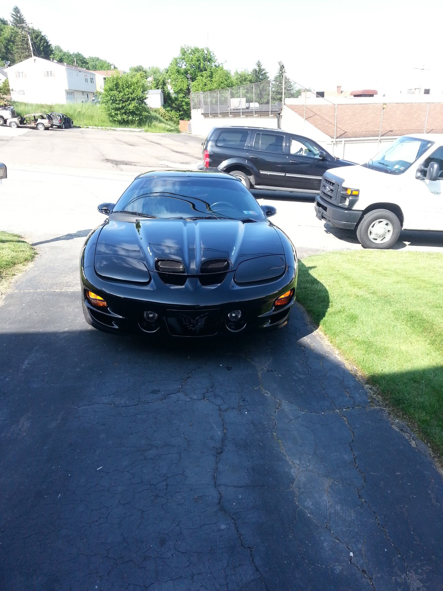 Used 2000 Pontiac Firebird Formula RWD image 16