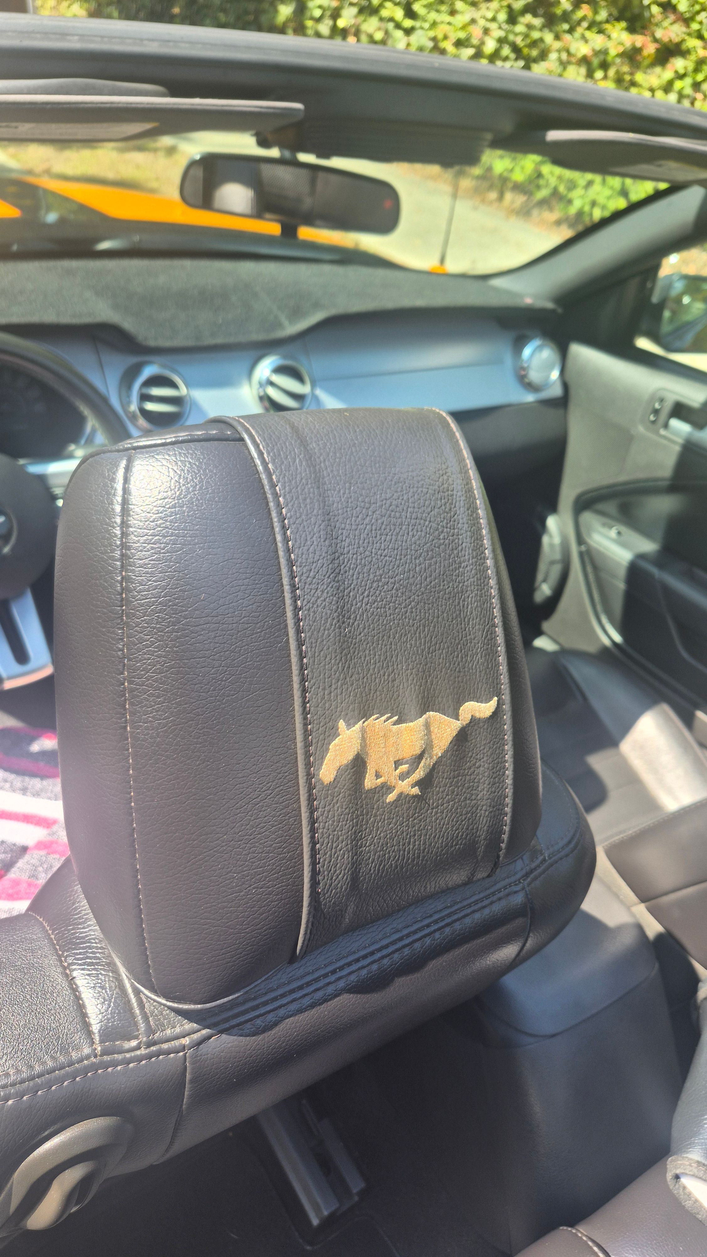 Used 2006 Ford Mustang GT Premium RWD image 4