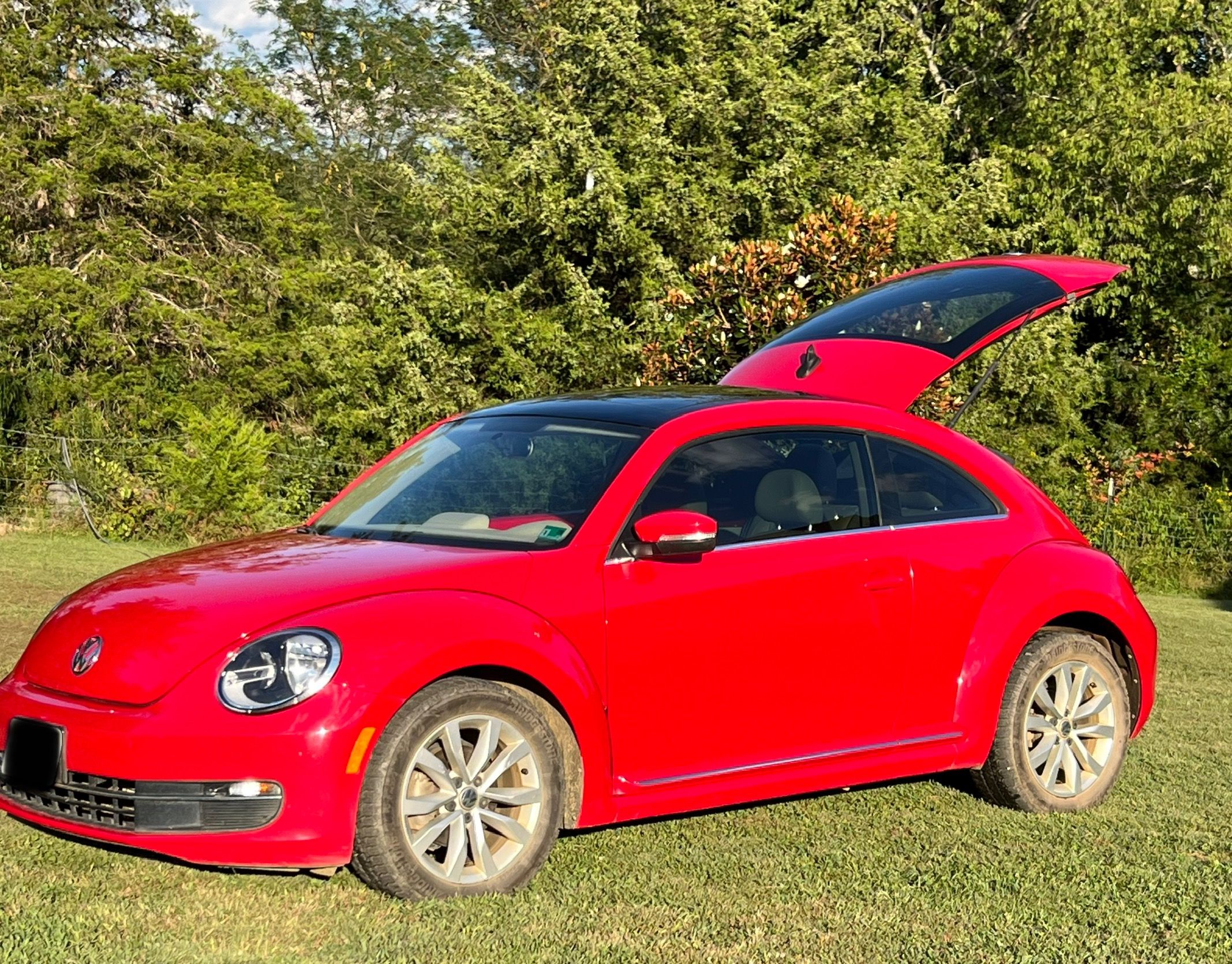 Used 2015 Volkswagen Beetle TDI FWD image 5